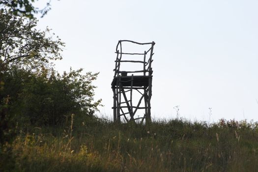 hochstand for wild boar at dusk