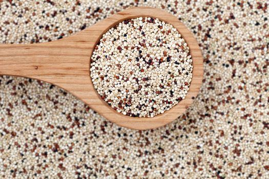 Mixed quinoa seeds with  a wooden spoon.