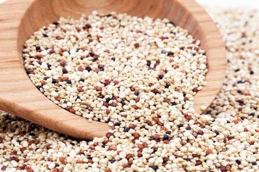 Mixed Quinoa seeds spilling from a wooden spoon.