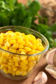 Sweetcorn grains in glass bowl with garlic cloves and watercress (Selective Focus, Focus one third into the corn)