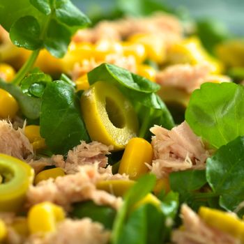 Fresh tuna, sweetcorn, green olive and watercress salad (Selective Focus, Focus on the front of the olive ring in the middle of the salad) 
