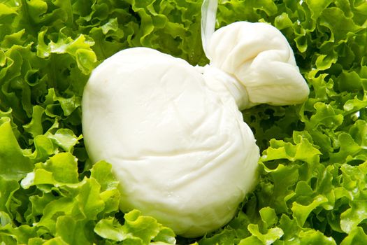 Burrata on salad