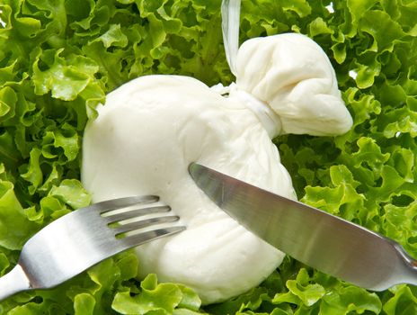 Burrata on salad