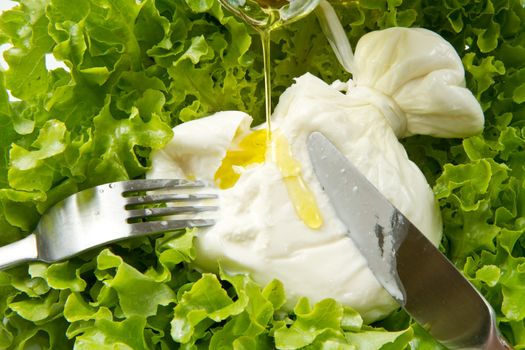 Burrata on salad