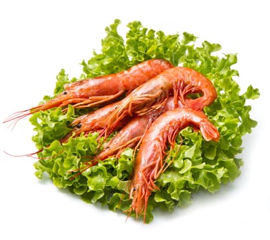 prawns on fresh salad