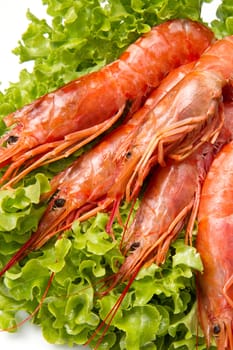 prawns on fresh salad