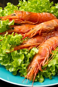 prawns with fresh salad on dish