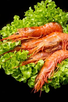 prawns with fresh salad 