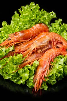 prawns with fresh salad 