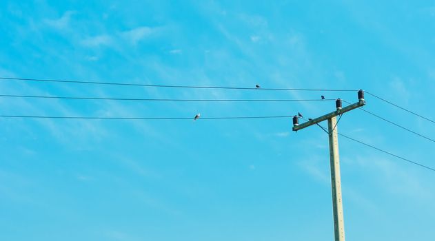 Electricity post in blue sky with four bird hold on Electric cable