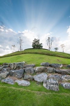 tree on hill with cloudy blue sky and sunbeam