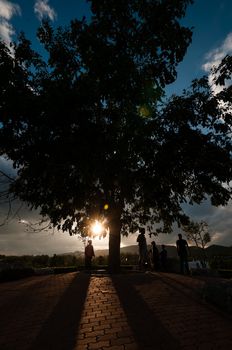 silhouette of tree and people on hill in sunset time