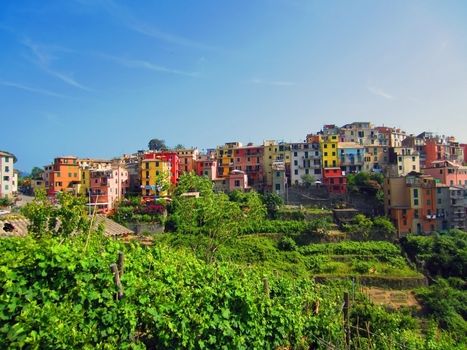 Village on Italian Coast in Liguria