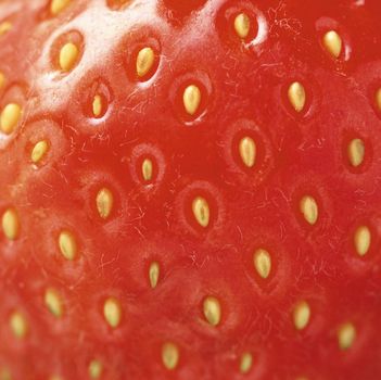 extreme macro red strawberry or texture