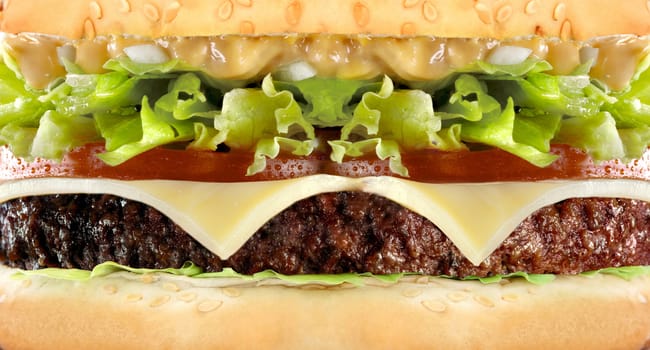 Cheeseburger hamburger macro close-up
