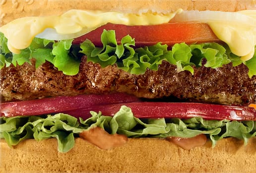 Cheeseburger macro close-up