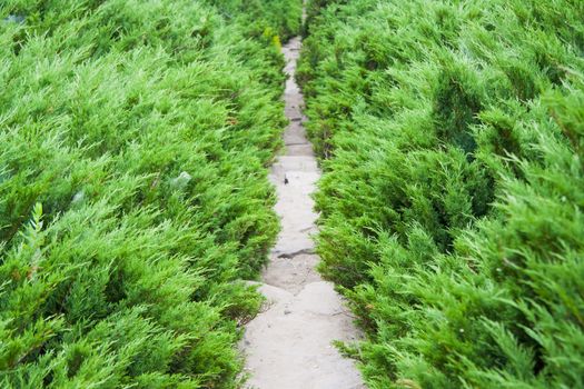 road