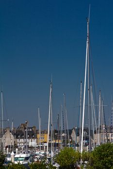 The masts of yachts in a marina
