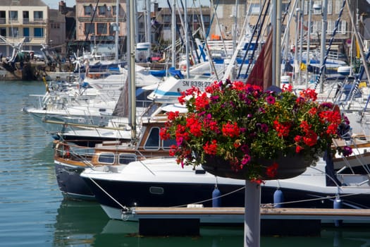 Colorful flowers at a yacht marina