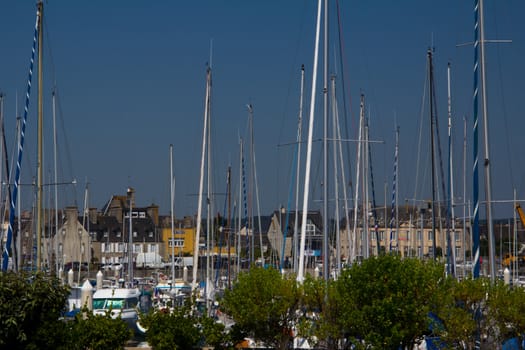 Yacht masts in a marina