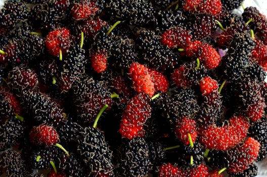 background texture of fresh mulberries