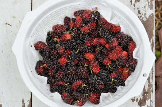  fresh mulberries in white basket