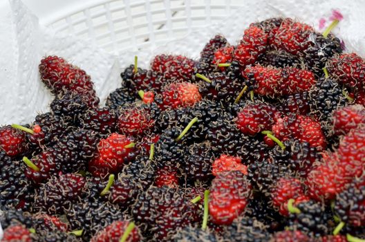  close-up of fresh mulberries in white basket