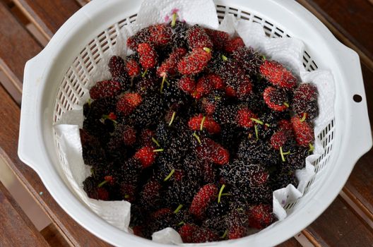  fresh mulberries in white basket