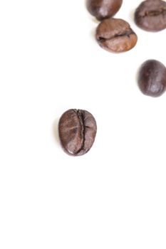 Fresh roasted coffee beans on a white background