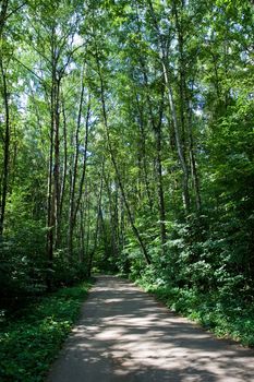 Beautiful road in green summer forest, Moscow