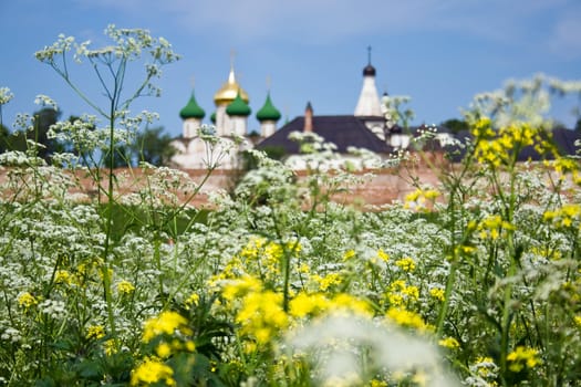 A field in Kolomna, Russia