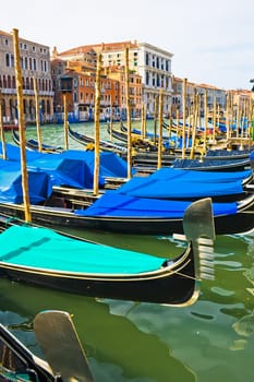 Gondolas anchored on Grand Canal, Venice Italy