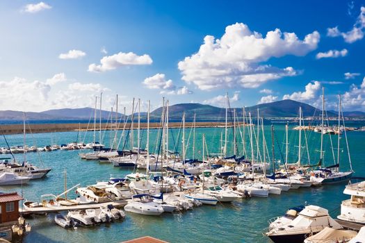Classic white yachts ancored in the port of Alghero, Sardinia