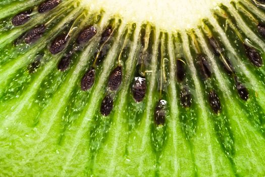 Macro photo of a fresh kiwi