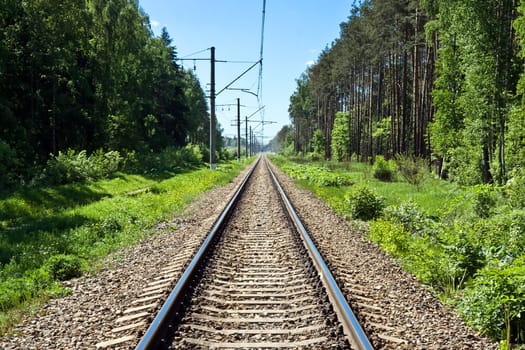 Long railway in the forest