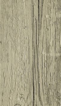 wood texture 