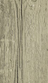 wood texture 