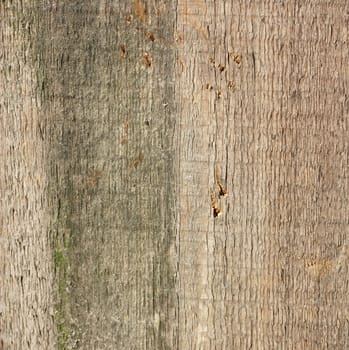 Wooden texture - can be used as a background 