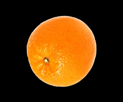 Mature orange on black background