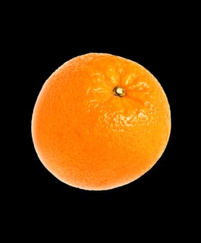 Mature orange on black background