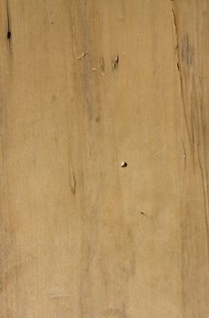 wooden background