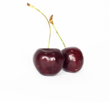 sweet cherry 