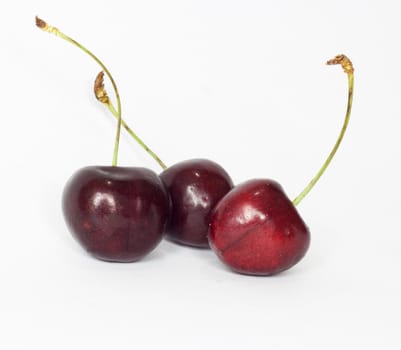 sweet cherry 