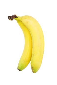 banana bundle 