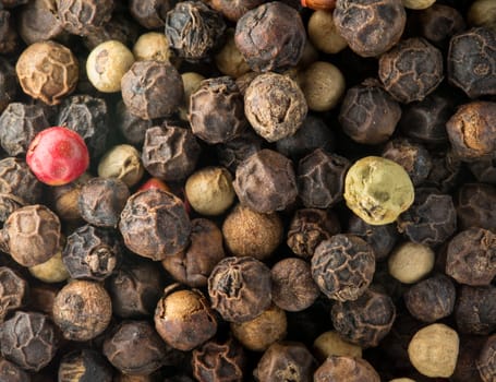 Mixed red, white and black pepper corn seeds in macro photo
