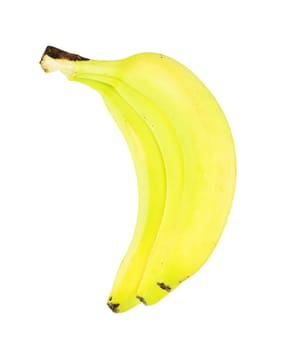 tree bananas isolated on white 