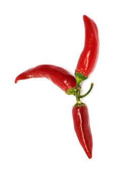 three hot chili peppers 