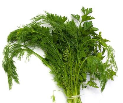 dill and parsley at platw isolated on a white background 