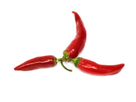 three hot chili peppers 
