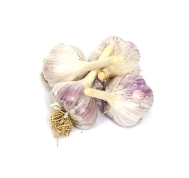 garlic isolated on white background 